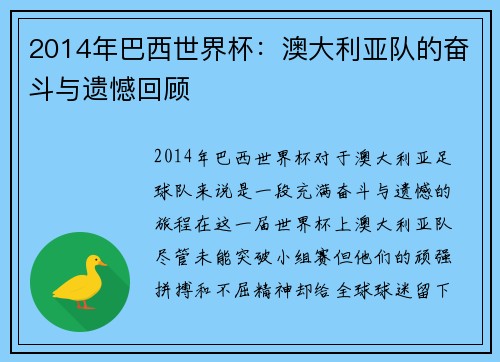 2014年巴西世界杯：澳大利亚队的奋斗与遗憾回顾
